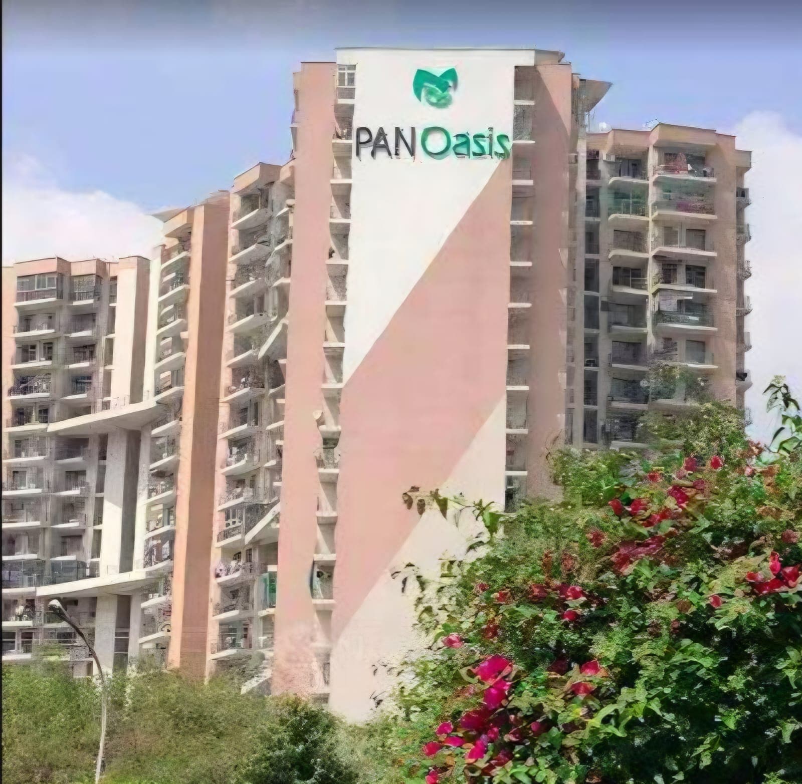 PANOasis